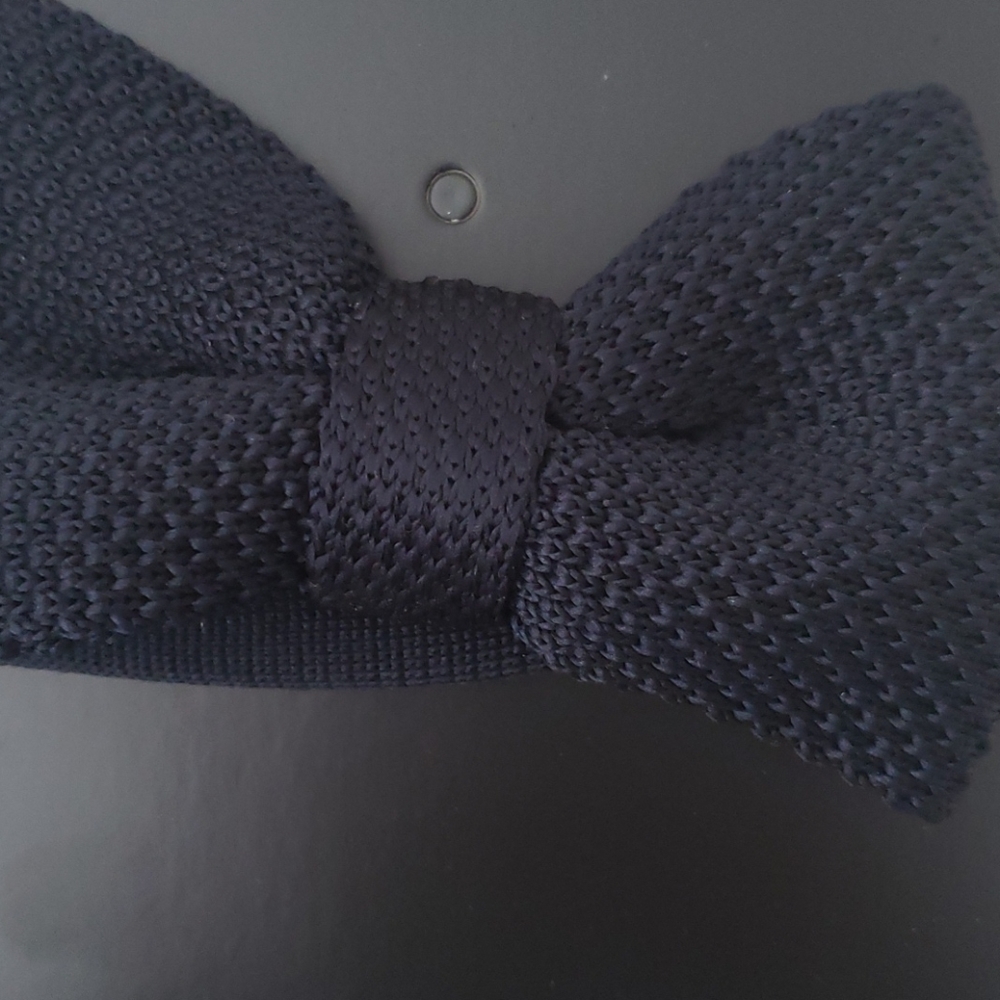 H&M Blue Bow Tie
